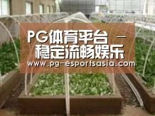 环境展示五