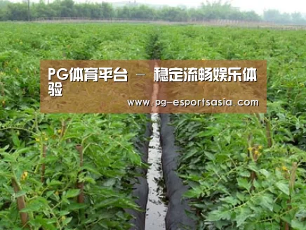 种植基地三