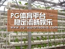 环境展示六