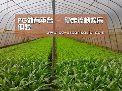种植基地四