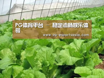 种植基地一